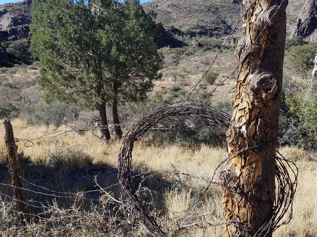 Organ Mountains-Desert Peaks National Monument-拉斯克鲁塞斯必去景点