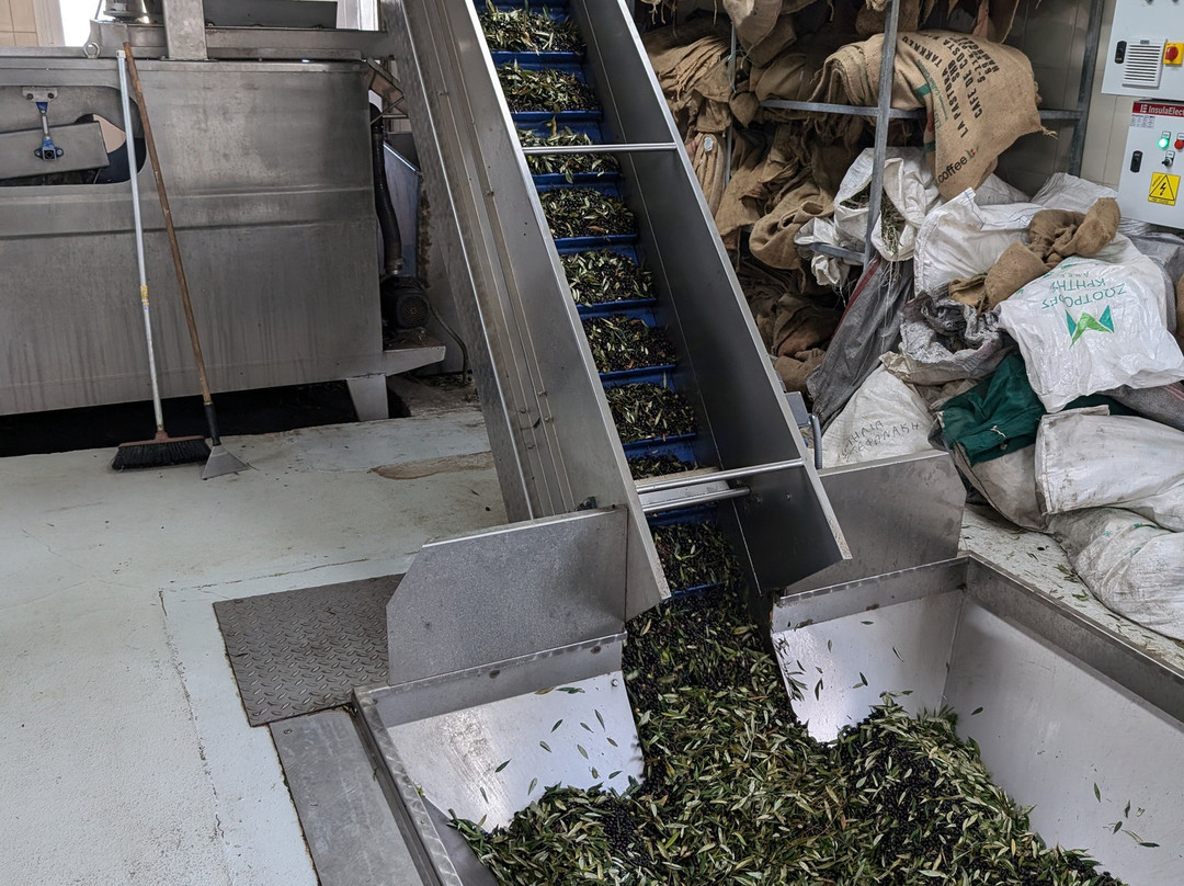 Markakis Olive Mill - Olive Oil-Chani Alexandrou必去景点