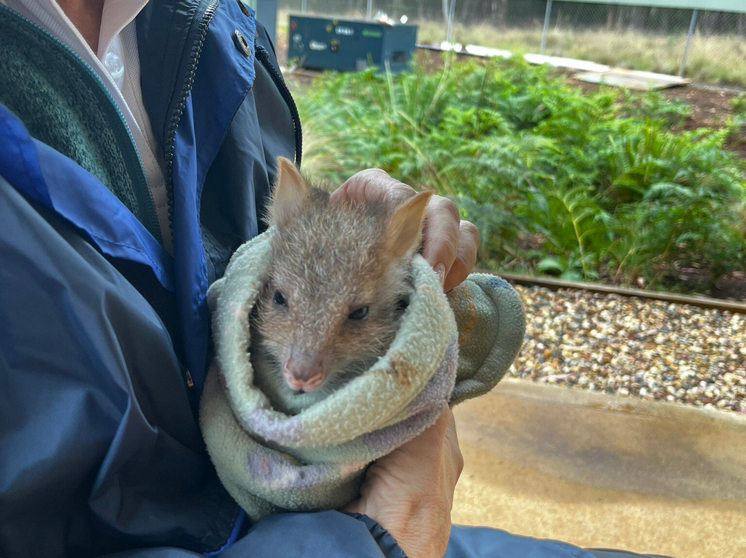 Aussie Ark景点图片