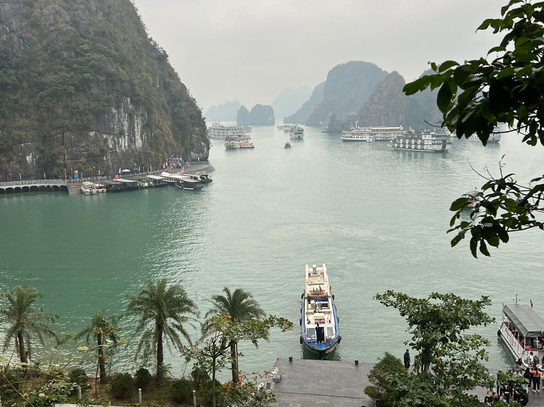 Halong Bay Cruise Hunters-河内必去景点
