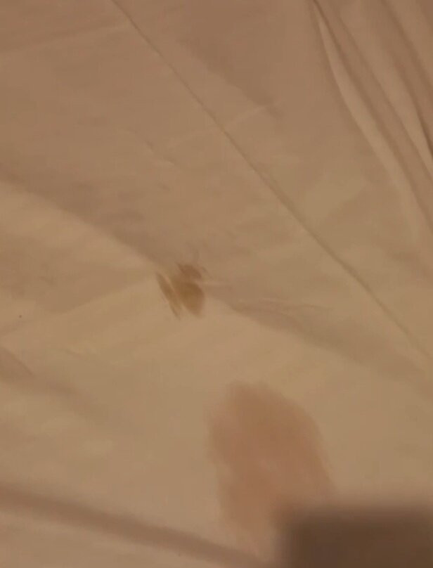 Subic Boutique hotel SBMA