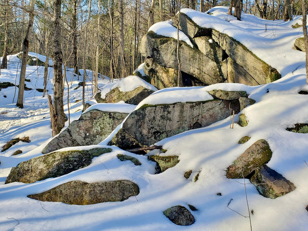 Kahshe Barrens Trail