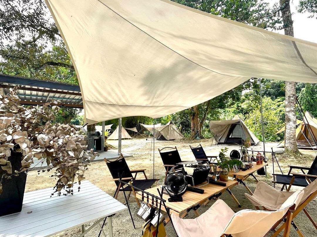 Hammocks By The River