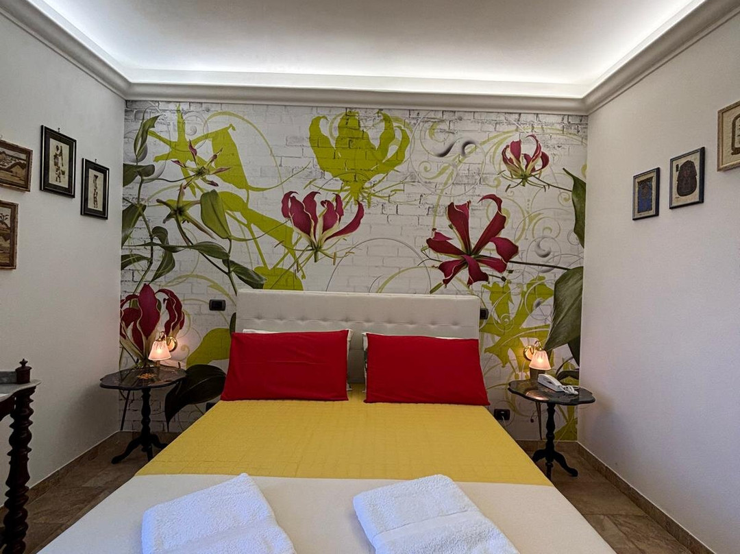 B&b  Il Papavero主图