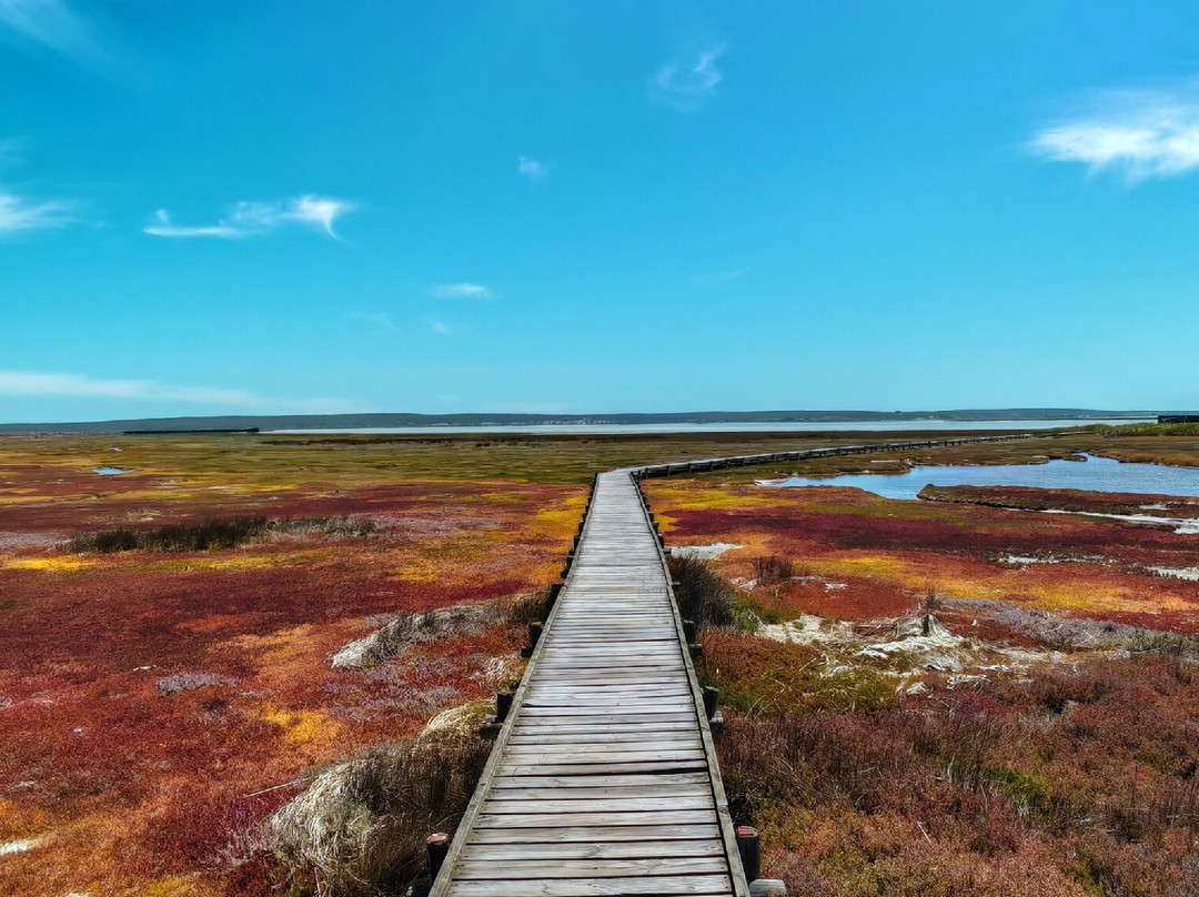 West Coast National Park-West Coast National Park必去景点