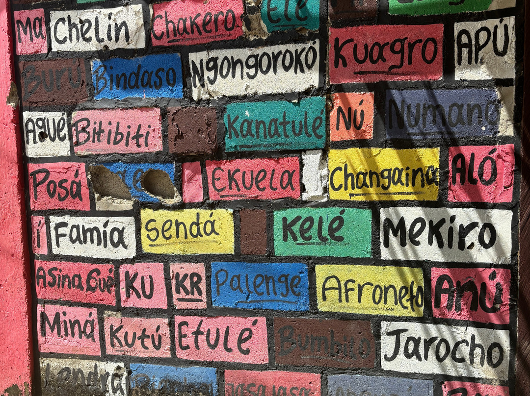 Afro tour S.A.S.-San Basilio De Palenque必去景点