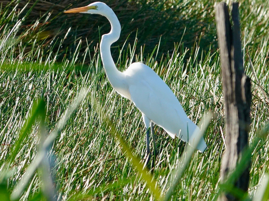 Rancho Humo Estancia主图