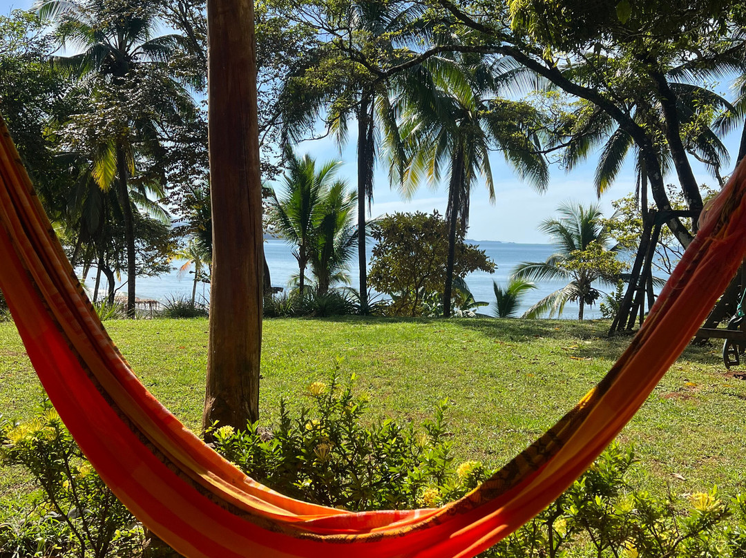 Hotel Playa Reina主图