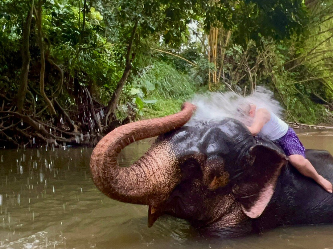 Bentota Tours-Aluthgama必去景点