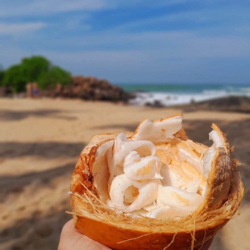 Italia Beach Hotel主图