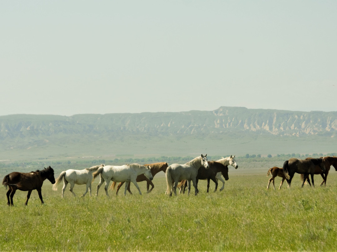 Vashlovani National Park-Dedoplistskaro必去景点