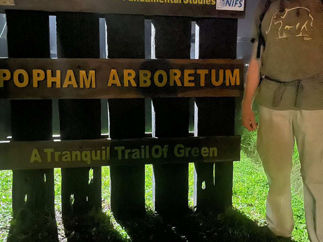 Popham's Arboretum-丹布拉必去景点