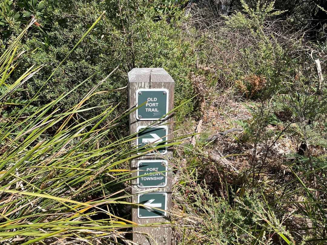 Old Port Walking Trail-Port Albert必去景点
