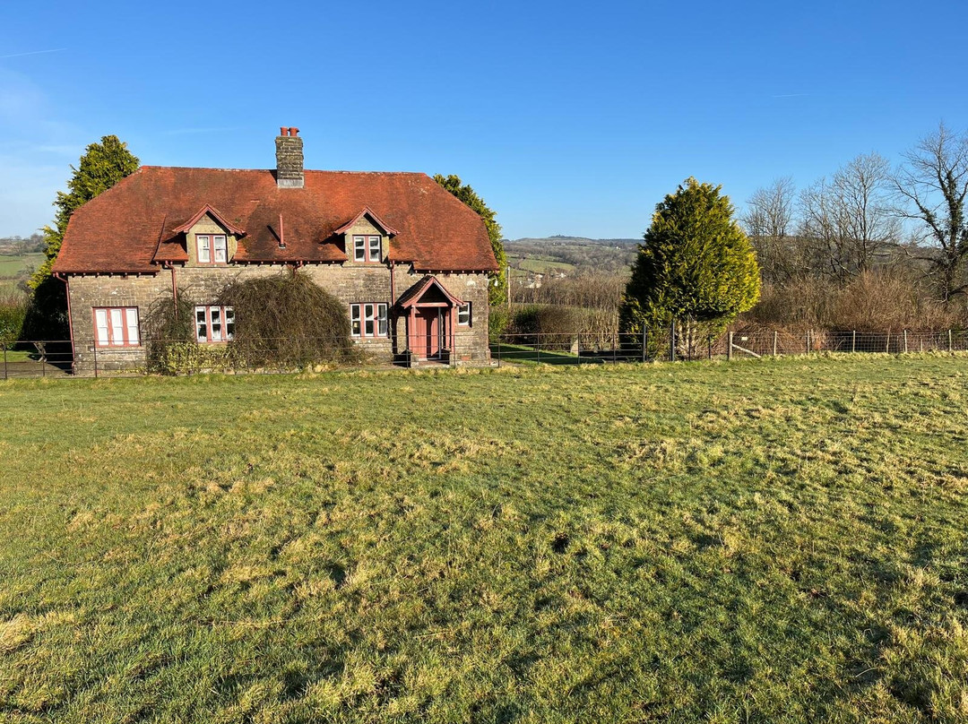 Dinefwr Estate景点图片