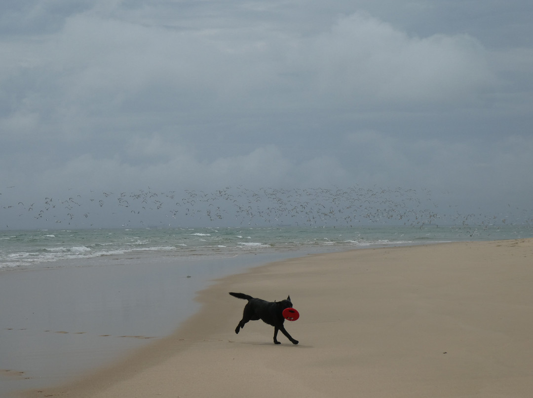 Macaneta Beach景点图片