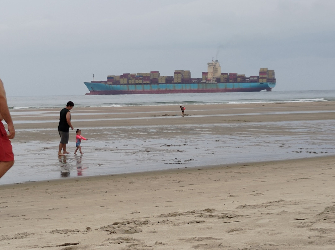 Forte Beach-Sao Francisco do Sul必去景点