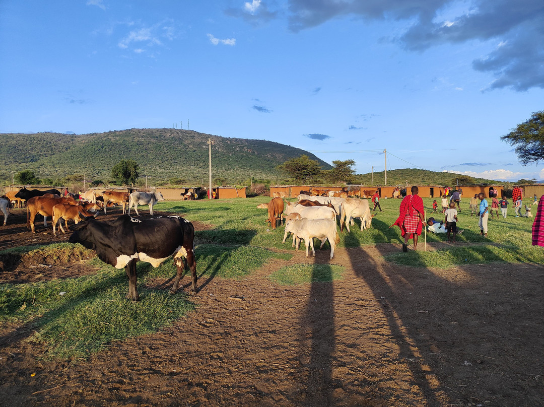 The Safari Side Travel Agency-Iten必去景点
