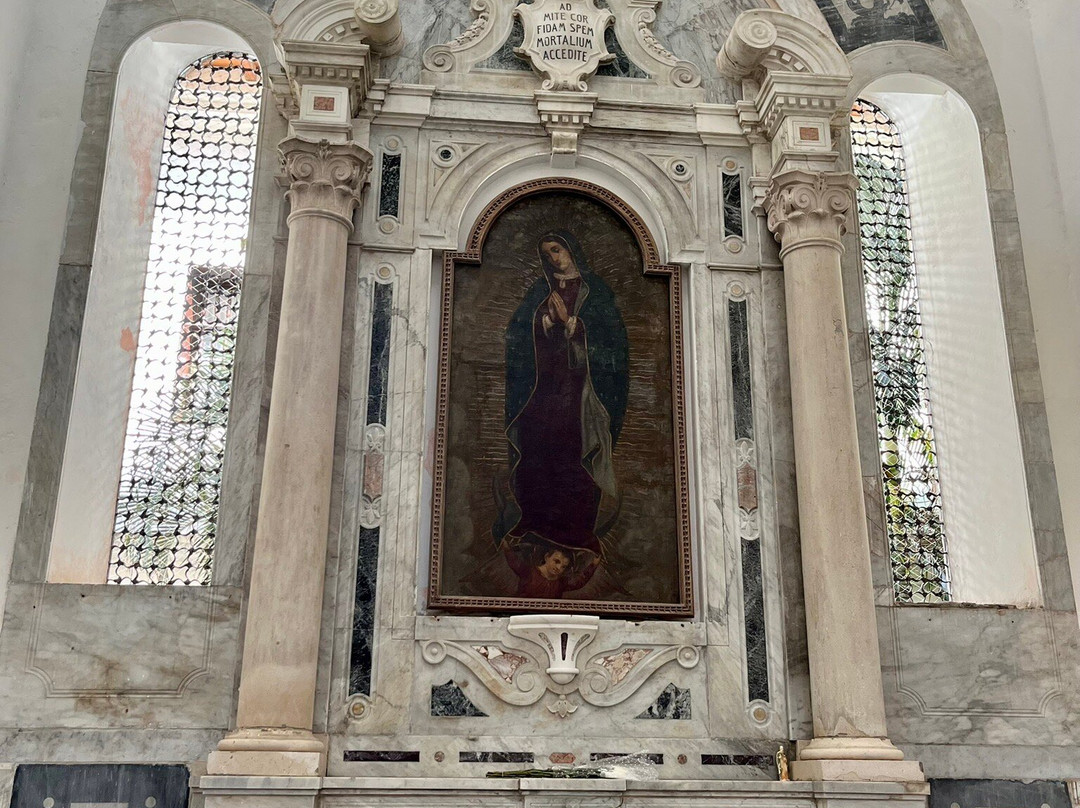 Catedral Santa Catalina de Alejandria景点图片