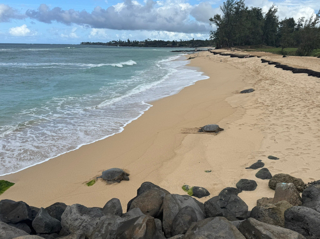 Secret Beach, Paia'a, Maui-芭雅必去景点