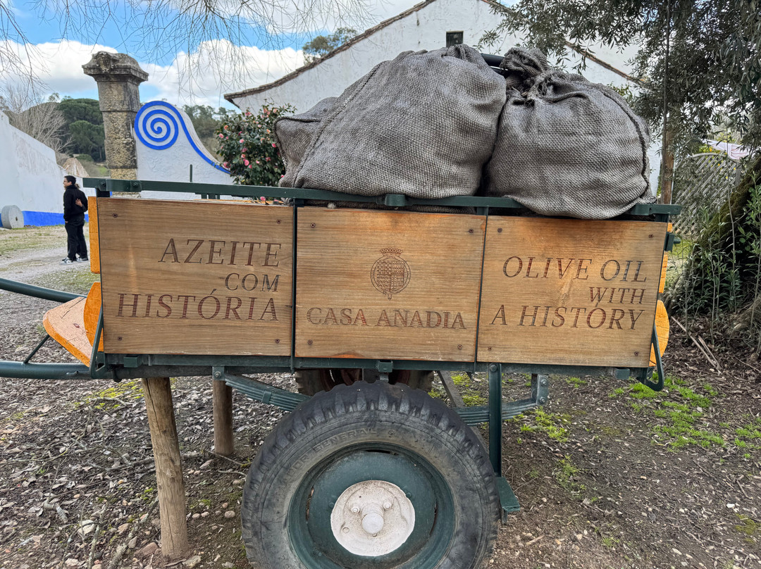 Azeite Casa Anadia - Olive Oil & Tours景点图片