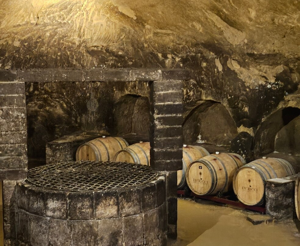 De'Ricci Cantine Storiche-蒙特普尔恰诺必去景点