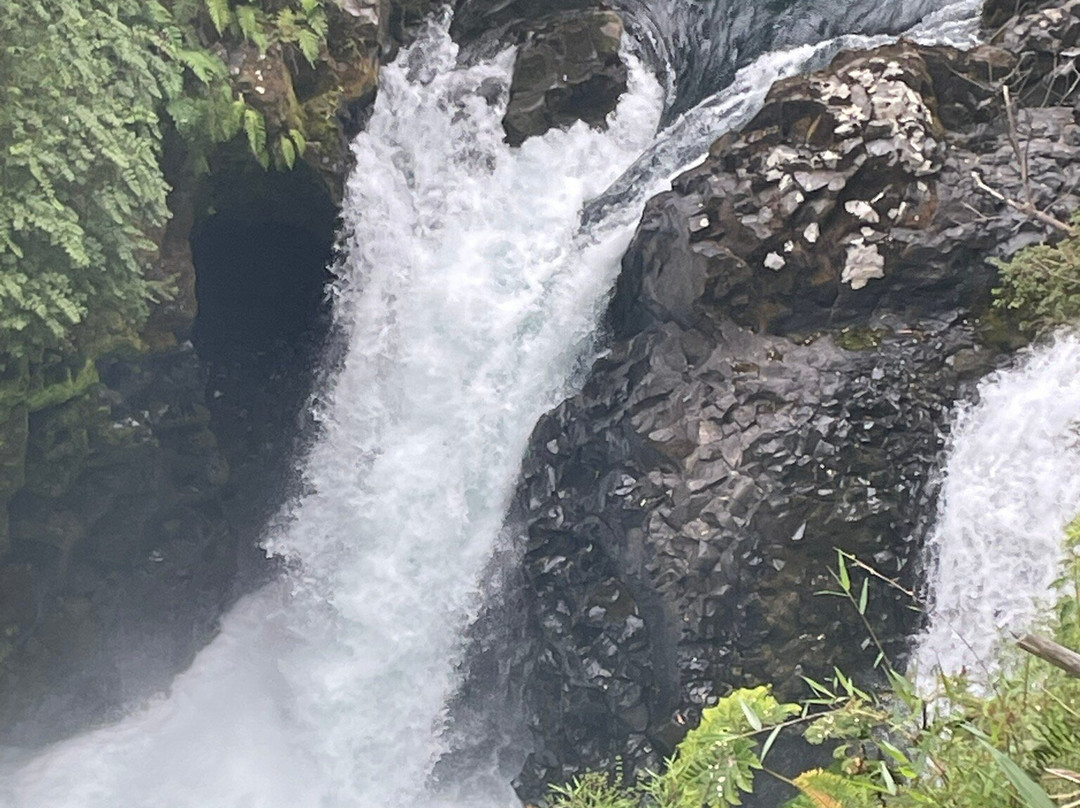 Futangue Park-Lago Ranco必去景点