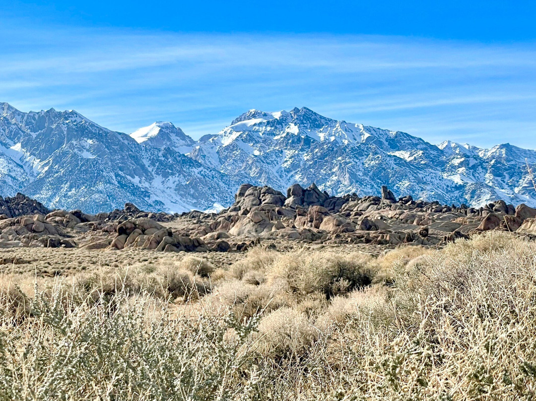 Best Western Frontier Motel主图