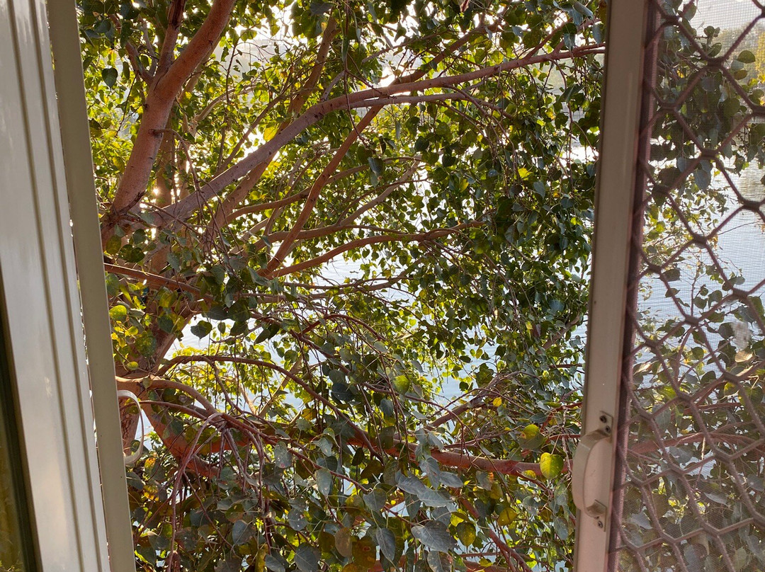 Oolala - Your Lake House in the Center of Udaipur主图