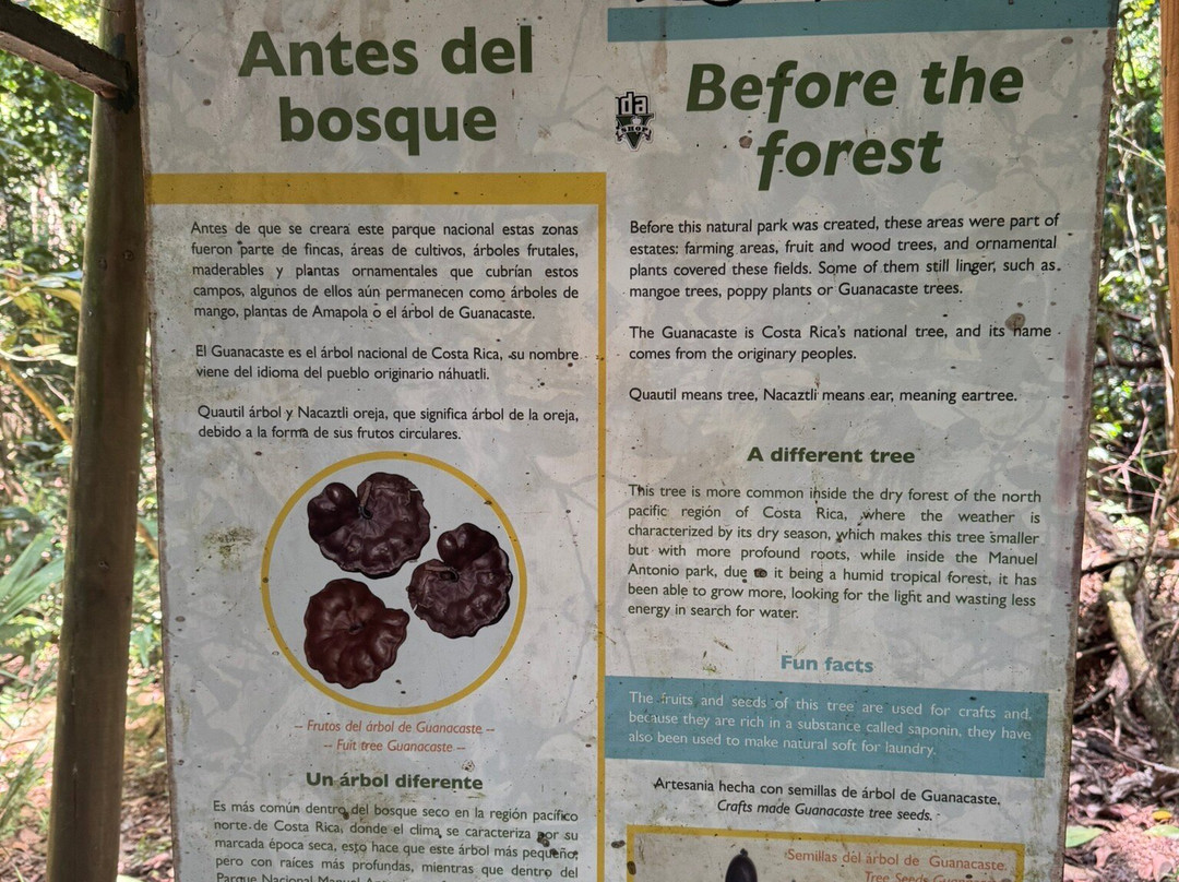 Manuel Antonio, Costa Rica-Savegre必去景点