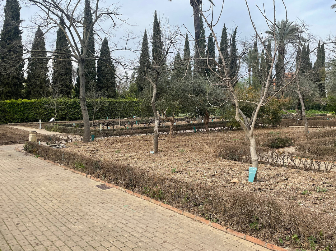 Jardin Botanico de Cordoba-科尔多瓦必去景点