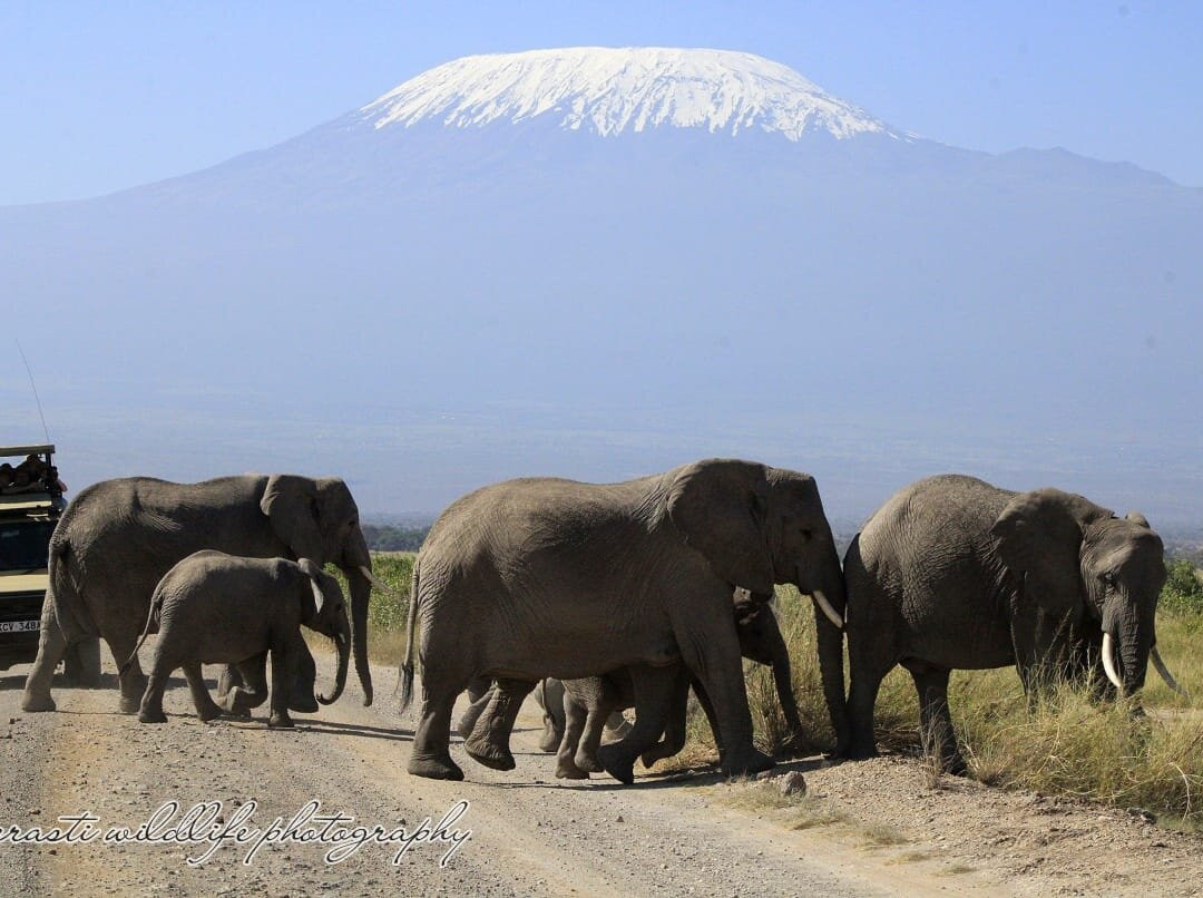 Elohim Tours & Travel-纳库鲁必去景点