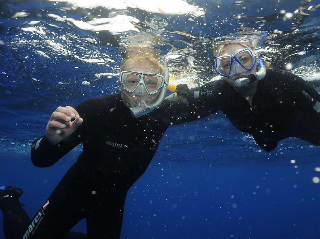 Cala Pada Diving Center Ibiza-伊维萨城区必去景点