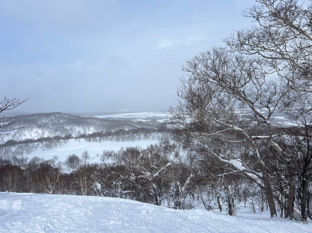 Niseko Black Snowsports-俱知安町必去景点