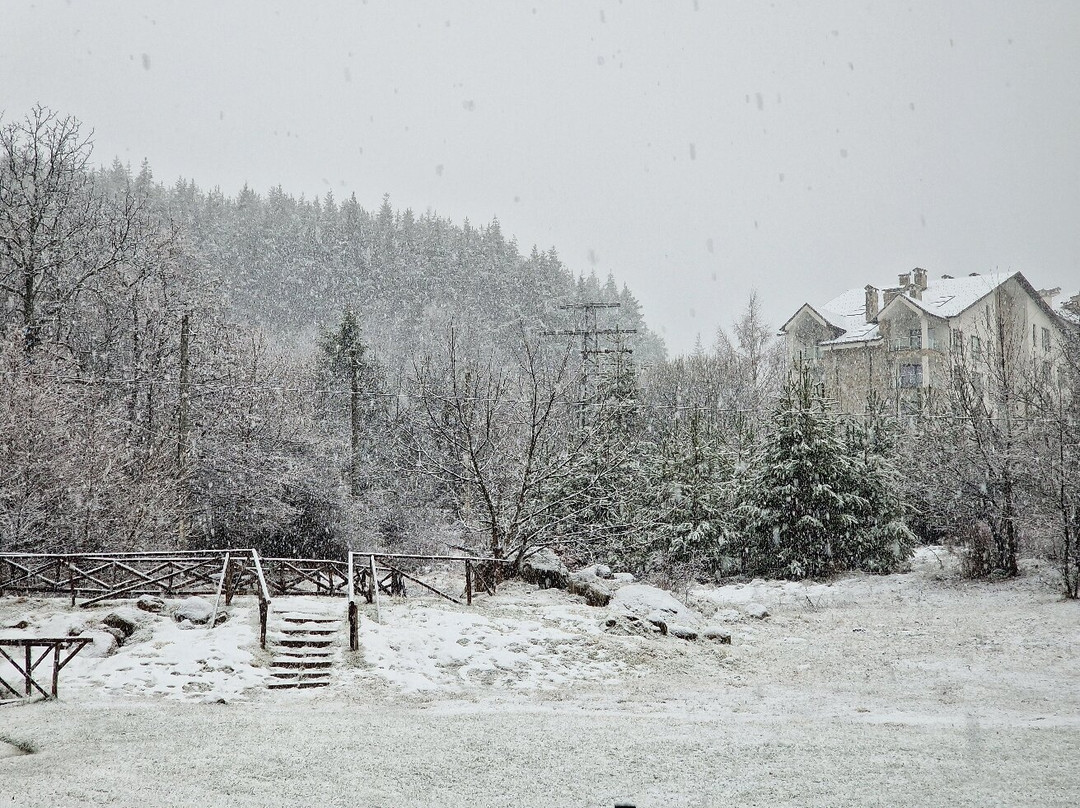 Green Life Resort Bansko主图