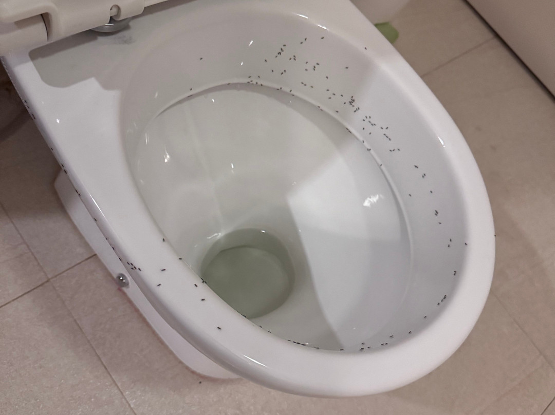 Omega Residence主图