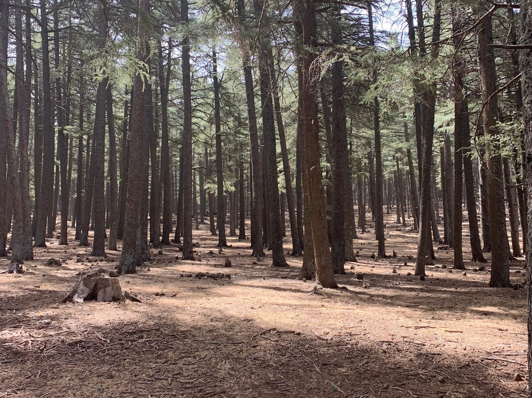 Jari Saoud-Azrou必去景点