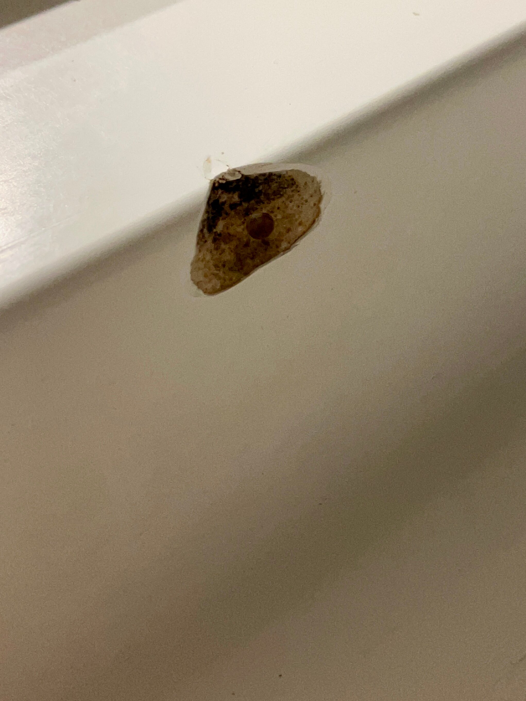 萨凡纳河畔万豪酒店-浴室