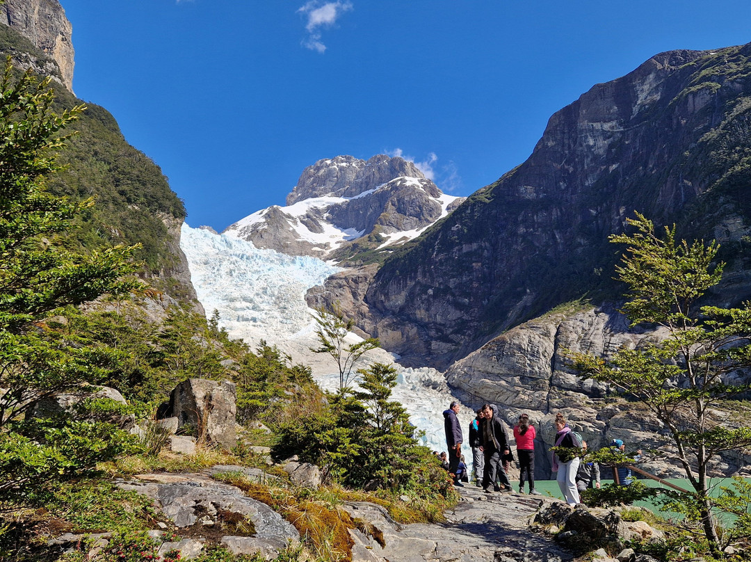 Bernardo O'Higgins National Park-纳塔莱斯港必去景点
