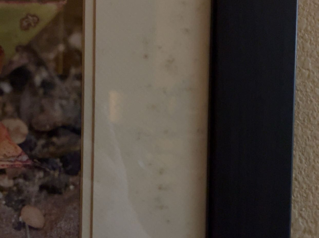 Comfort Inn & Suites主图