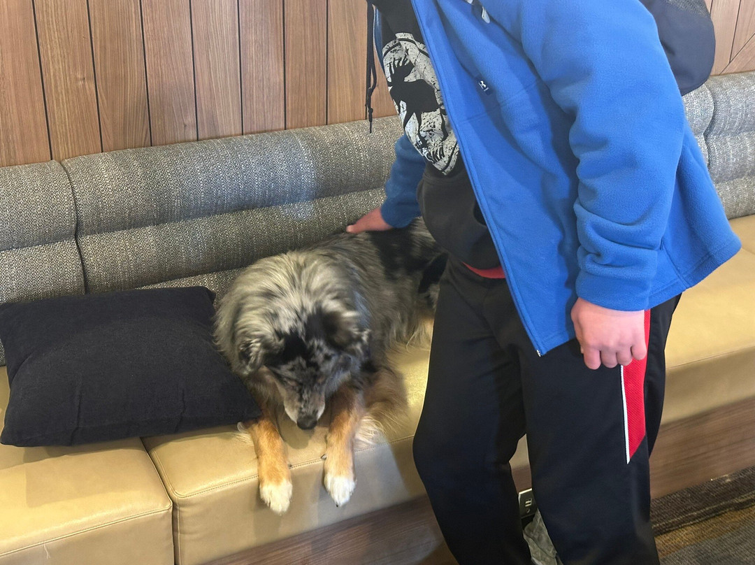 Holiday Inn 斯廷博特斯普林斯主图