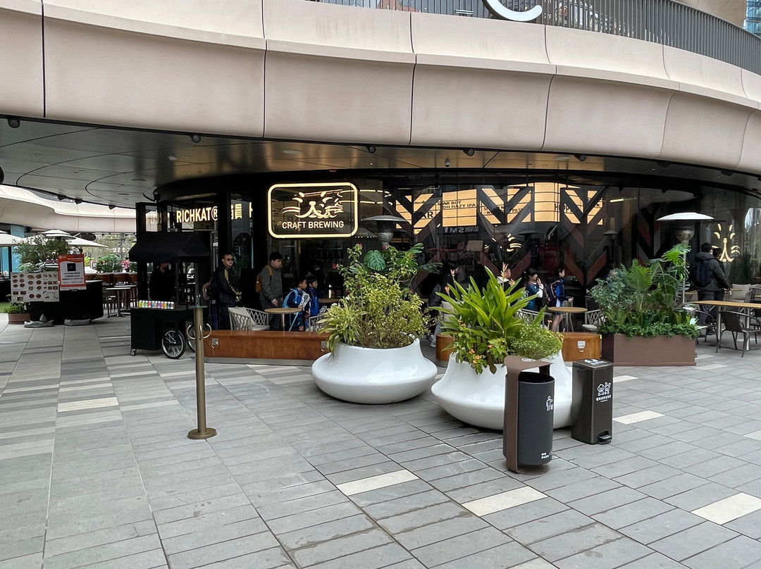 Richkat ® Craft Brewing (go Park)
