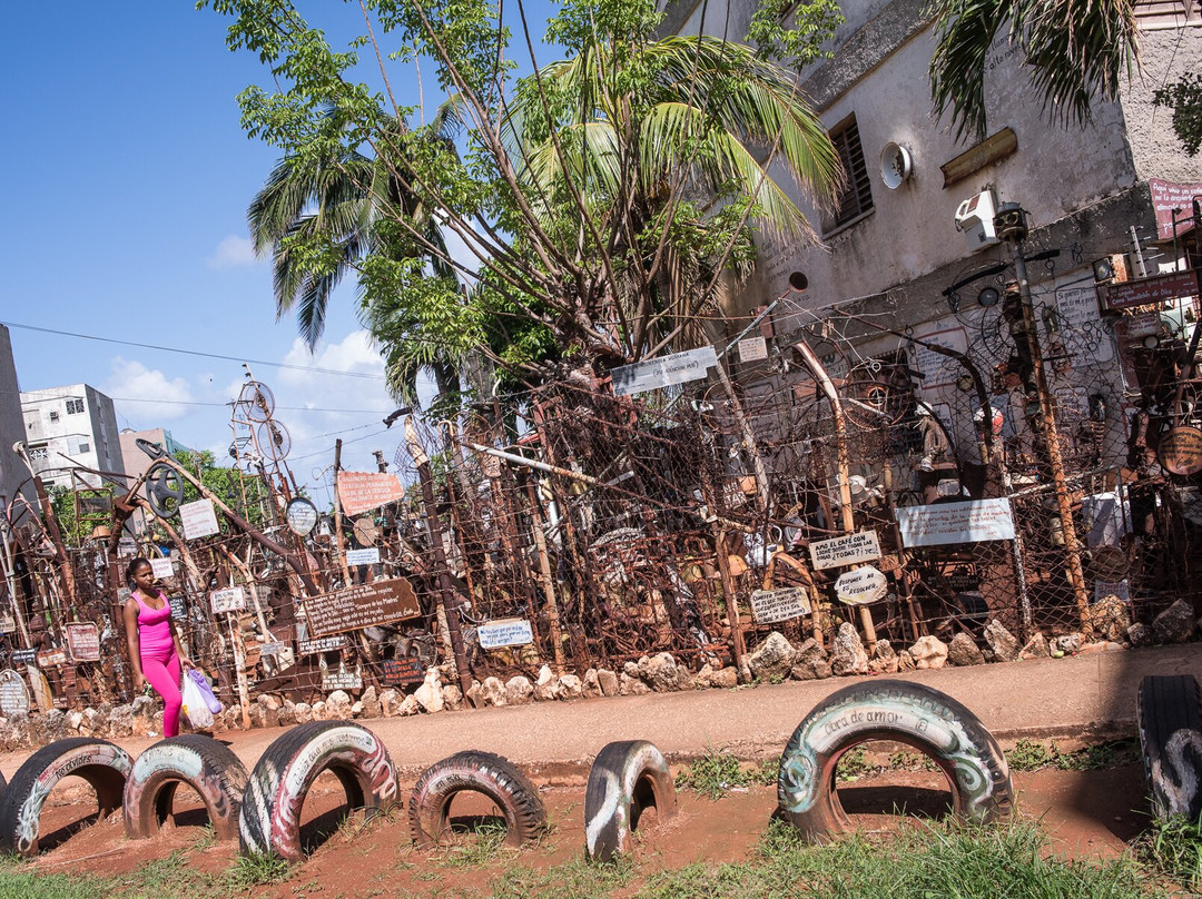 Museo de Gallo-哈瓦那必去景点