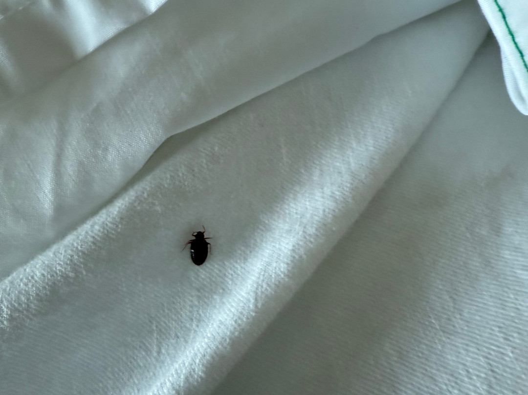 Holiday Inn Express & Suites Madison By IHG主图