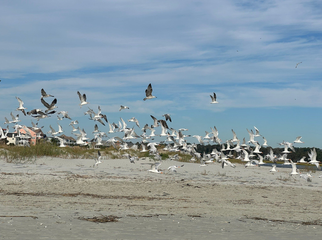 Cherry Grove Beach-美特尔海滩必去景点