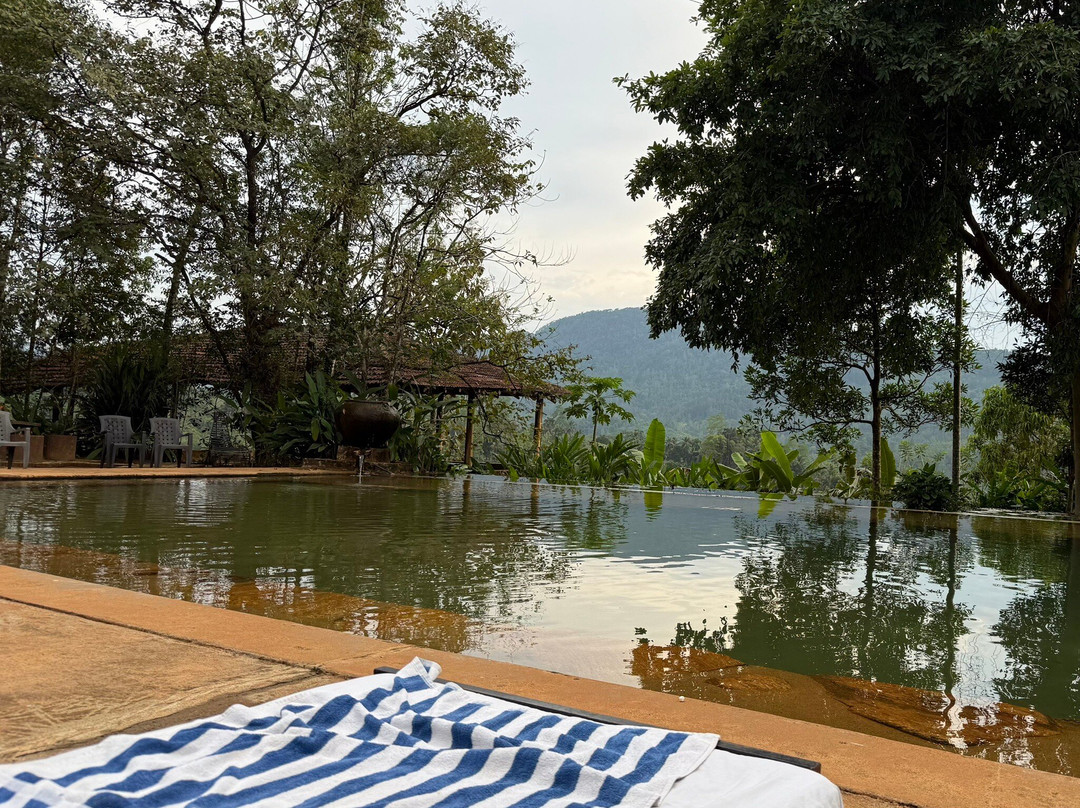 Rainforest Edge主图