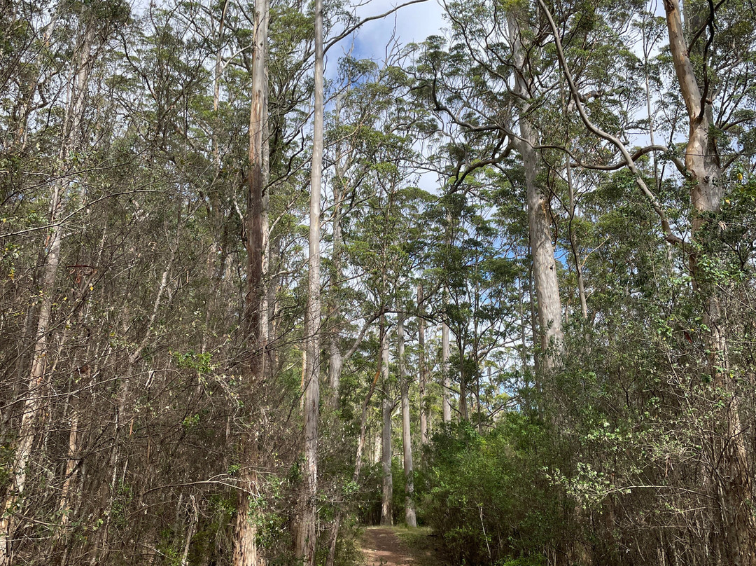 Wansborough Walk-Porongurup National Park必去景点