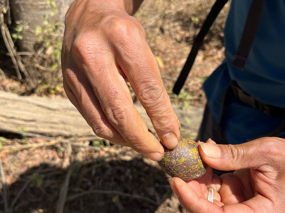 Ratanakiri Farmhouse and Trekking-邦隆必去景点