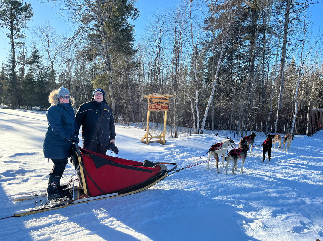 Chilly Dogs Sled Dog Trips-伊利必去景点