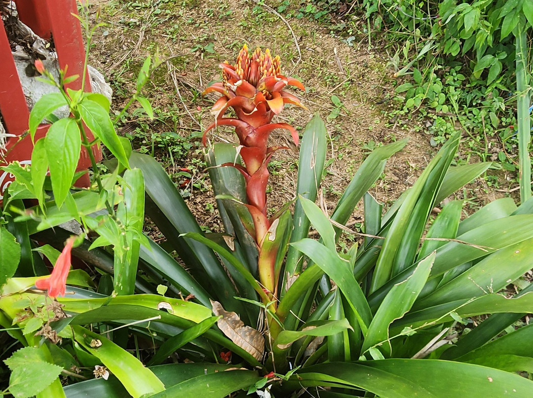 Pousada dos Anjos主图