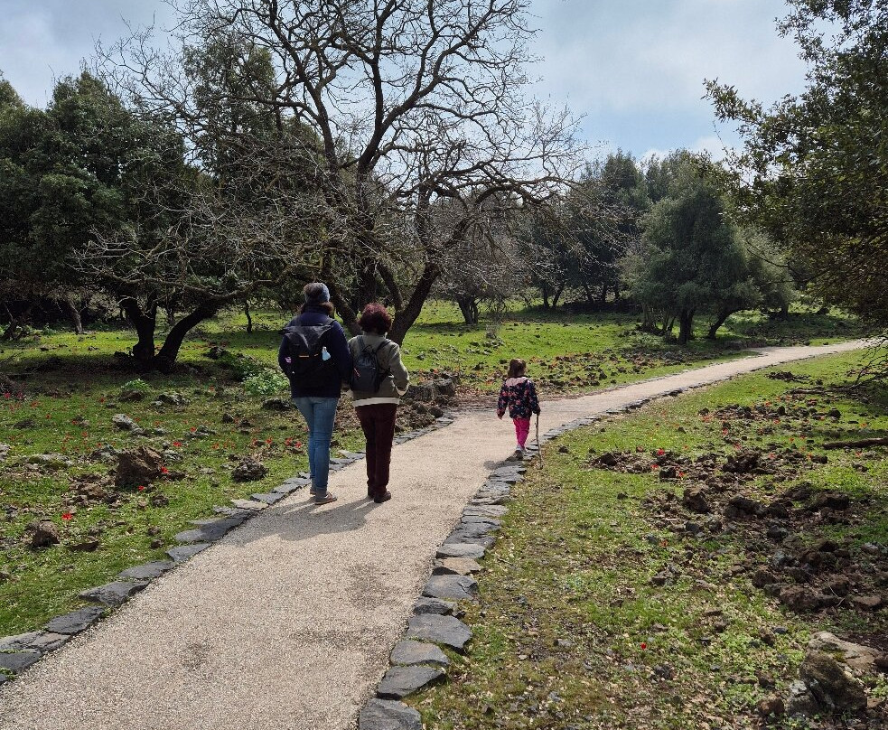 Big Juba in Ya'ar Odem-Odem必去景点